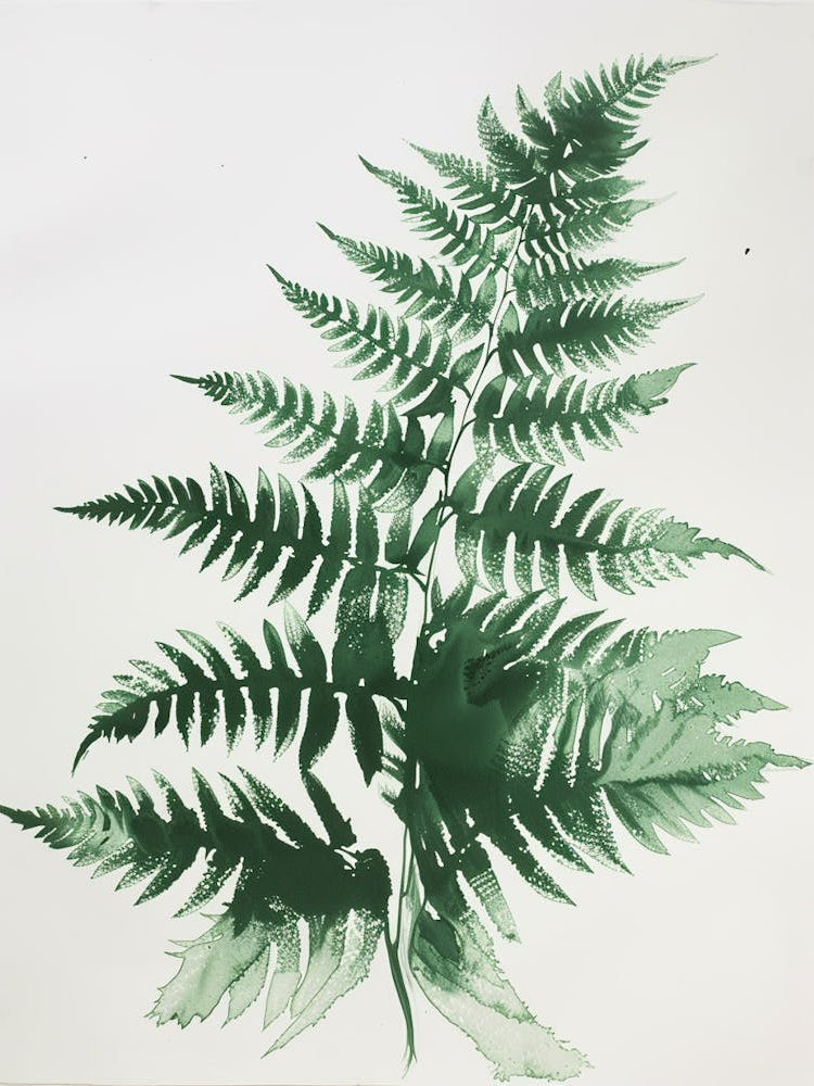 Green Ink Painting Of A Leatherleaf Fern 2
