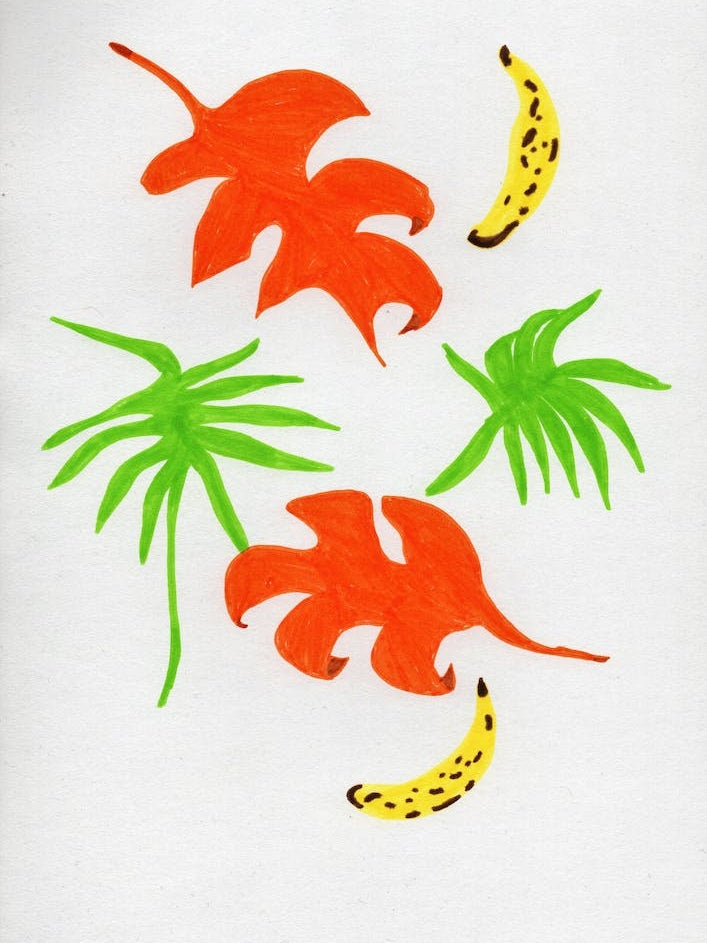 Leaves And Bananas