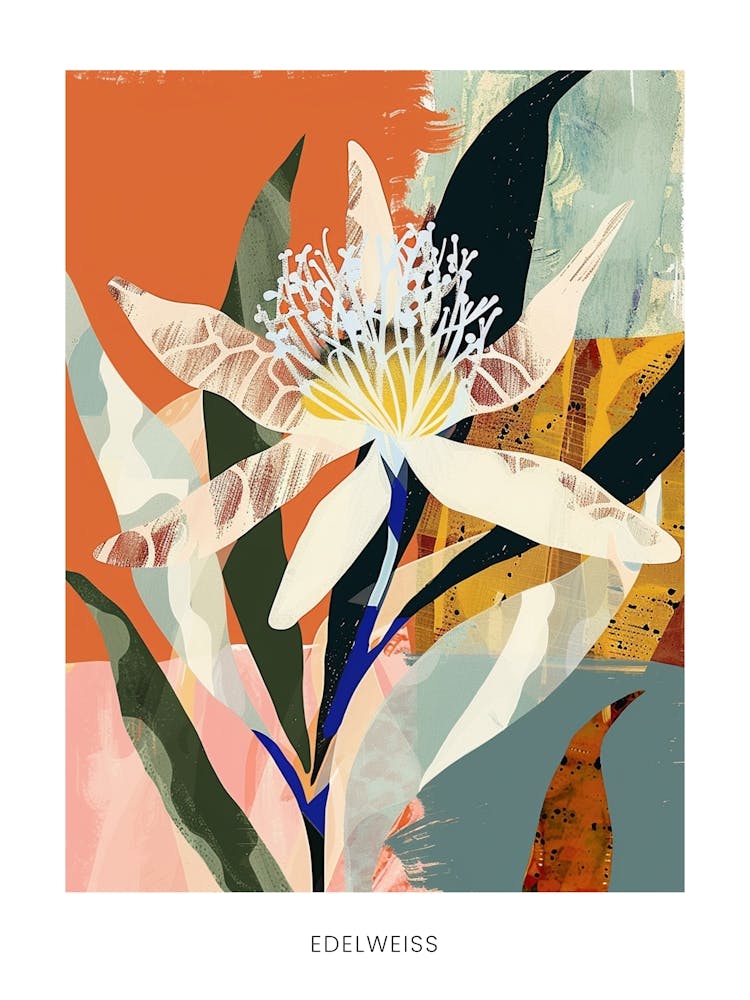 Colourful Flower Illustration Poster Edelweiss 2