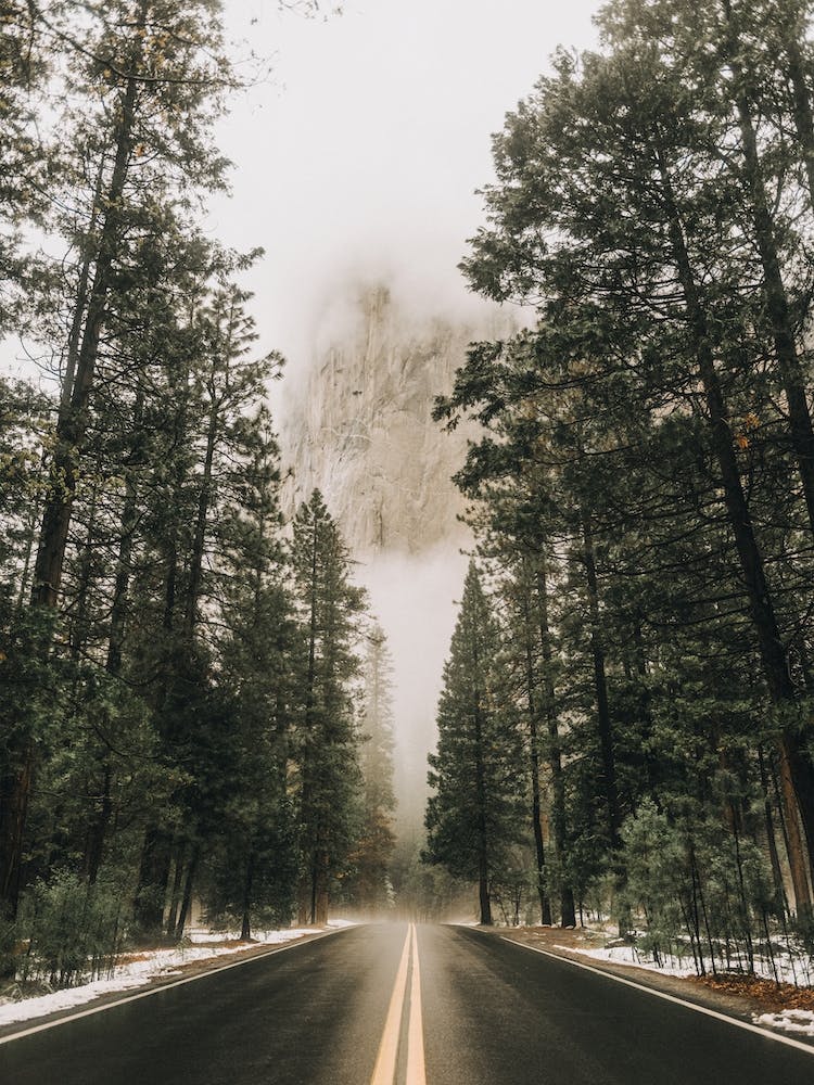 Forest Road