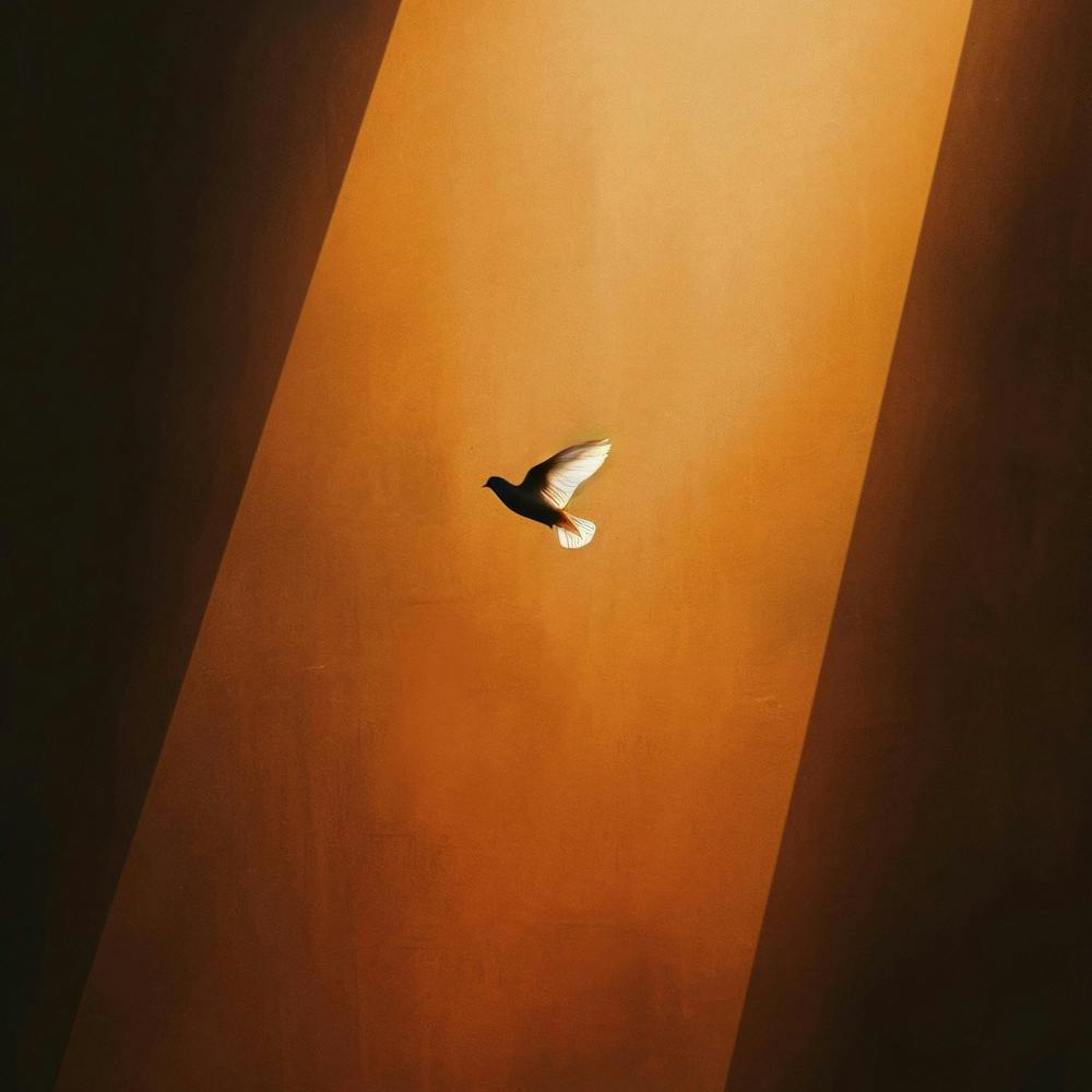 Dove In Flight 1