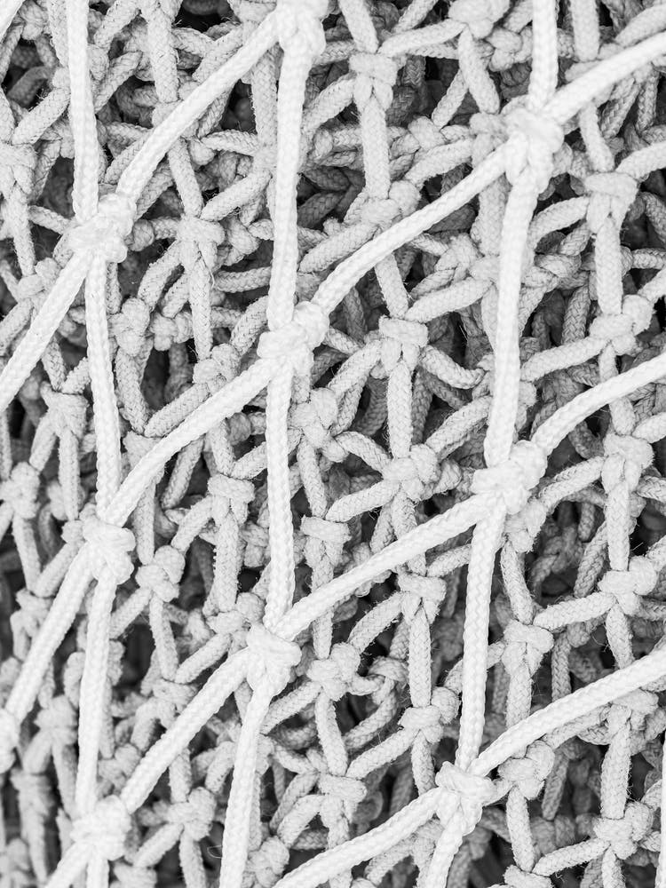 Black And White Netting maritime net