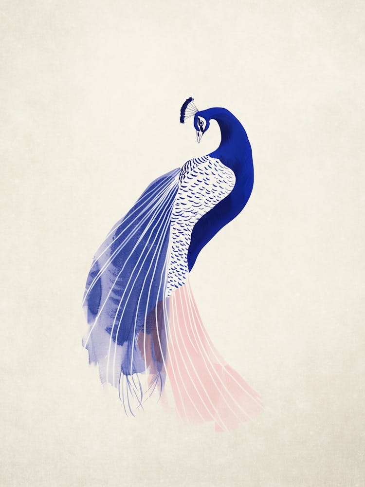Peacock Aesthetic Art