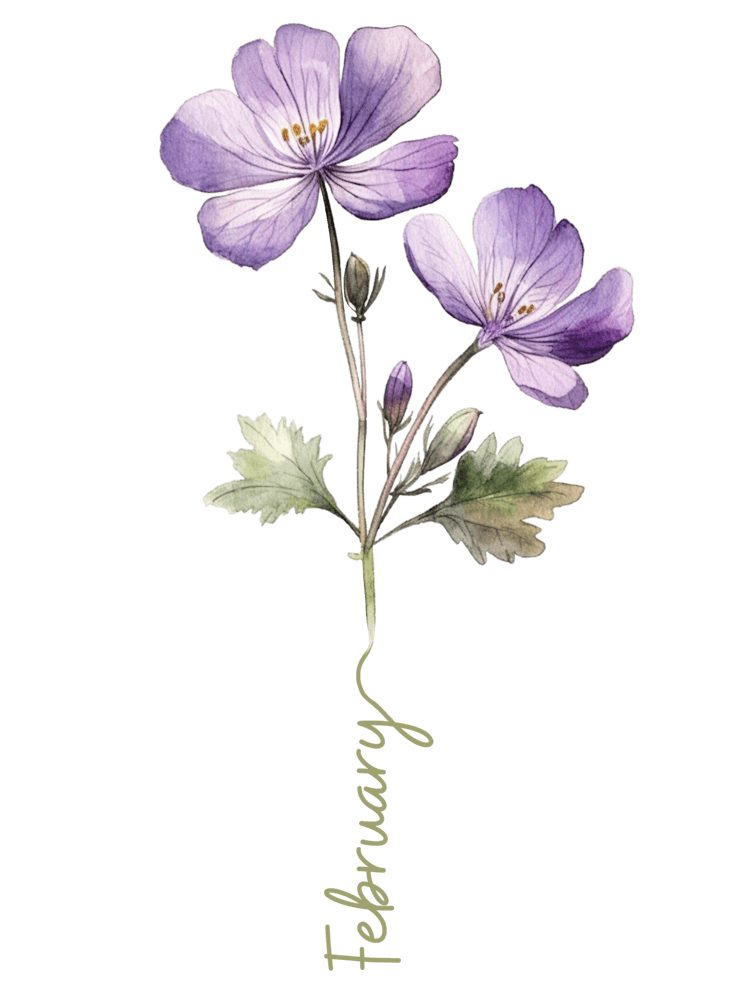 February Birth Flower Birth Month Botanical 1