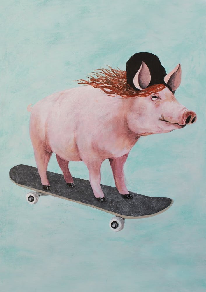 Pig Skateboarding