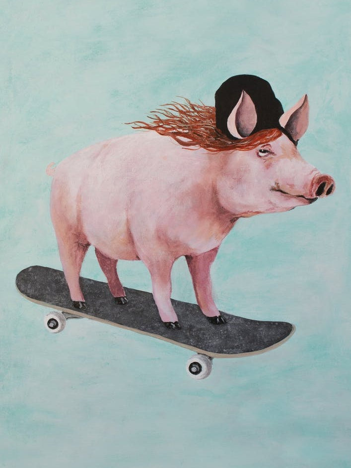 Pig Skateboarding