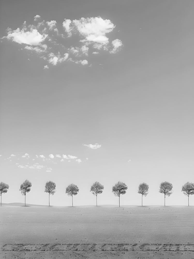 Line Of Trees