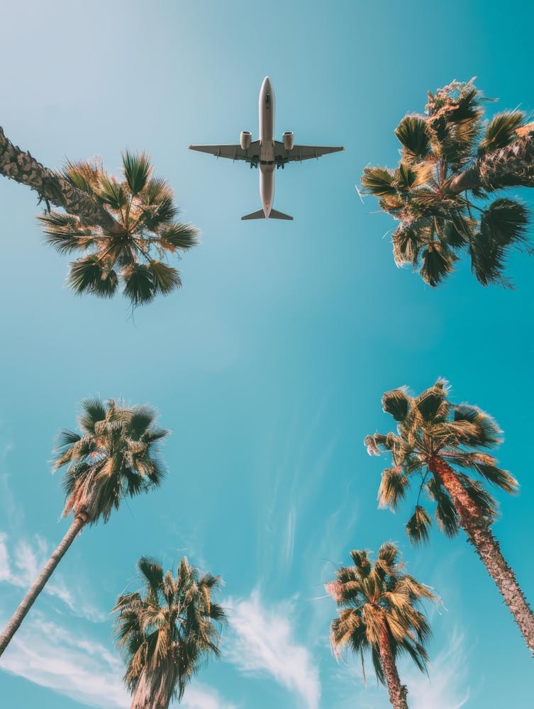 Airplane Flying Over Palm Trees 10