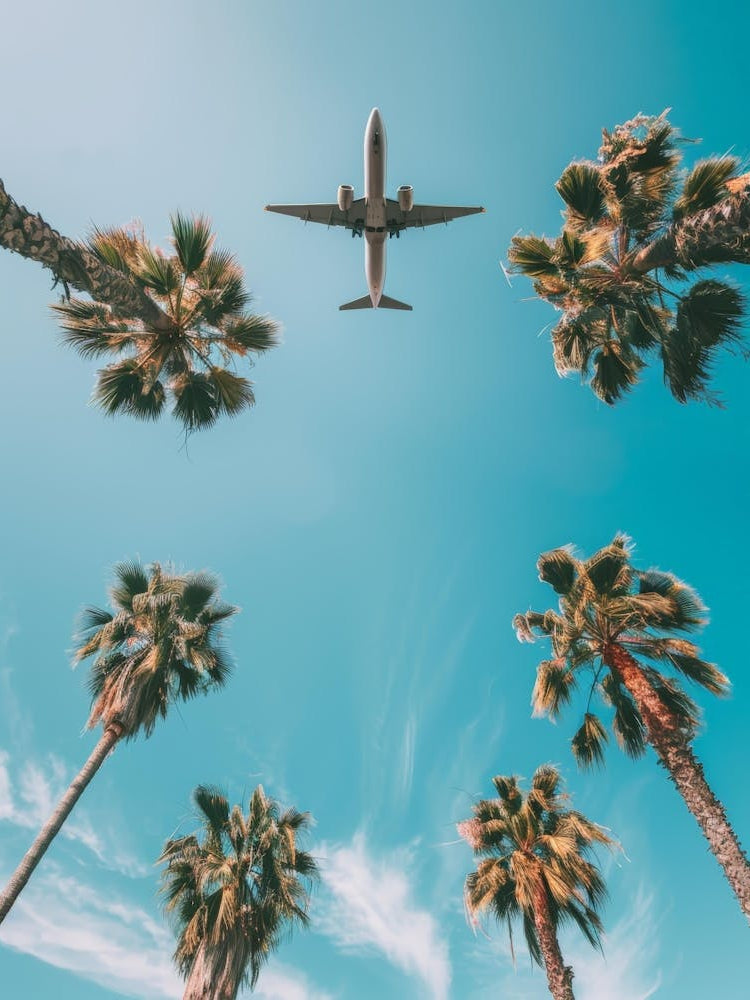 Airplane Flying Over Palm Trees 10