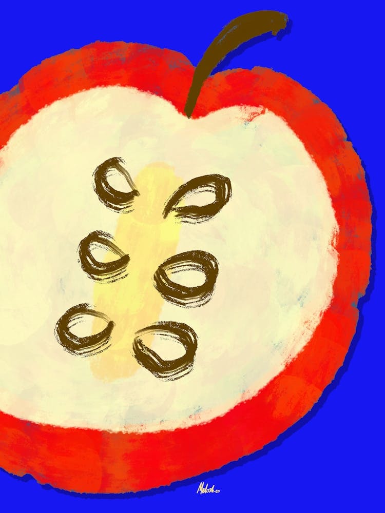 Apple Fruit - Artwork