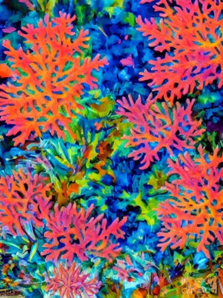 Acropora Granulosa 2 Lebendiges Gemälde