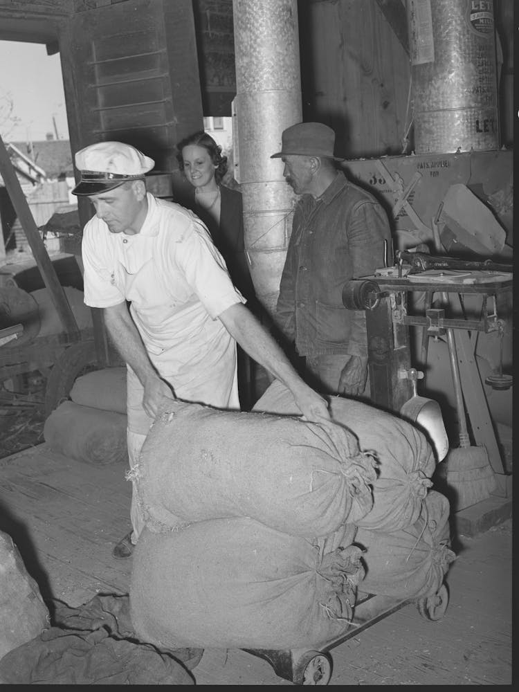 Untitled Photo, Possibly Related To Farmer Unloading A Trailer Of Corn Feed Mill