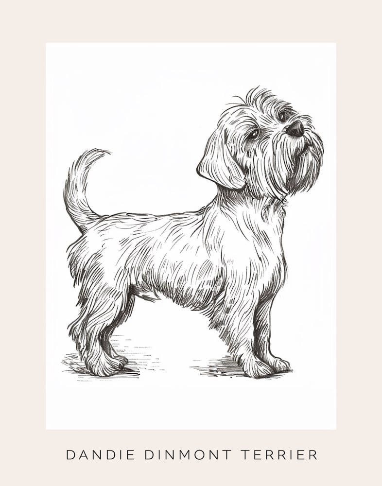 Dandie Dinmont Terrier Dog Line Sketch 3 Poster