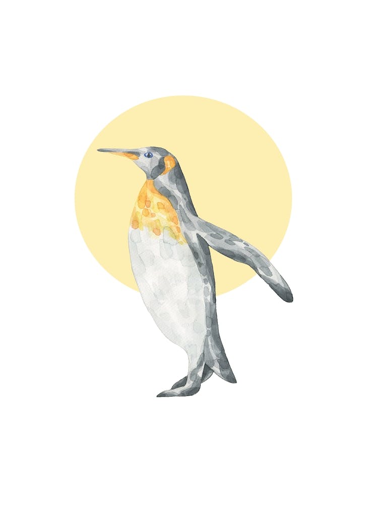 Watercolour Penguin