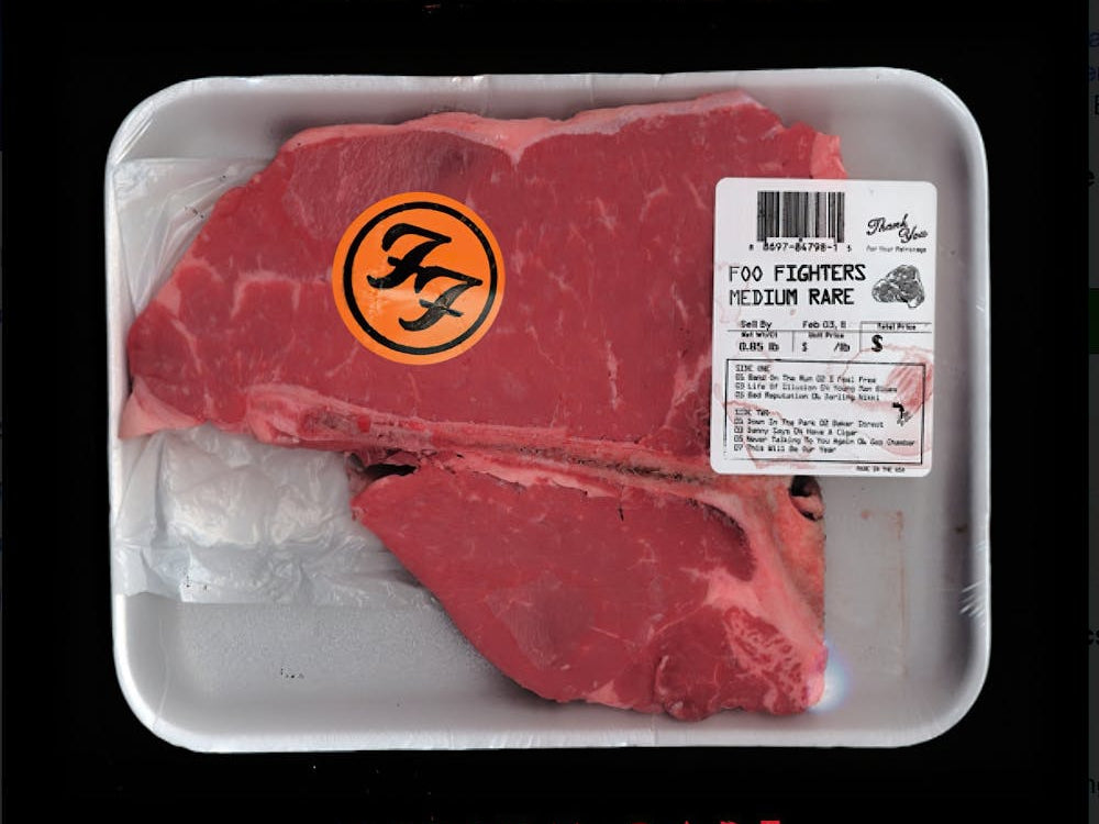 Foo Fighter Album (22)