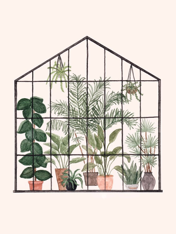 Greenhouse