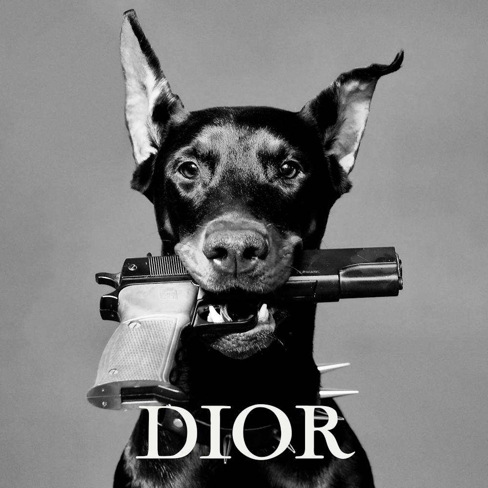 Dior Dog