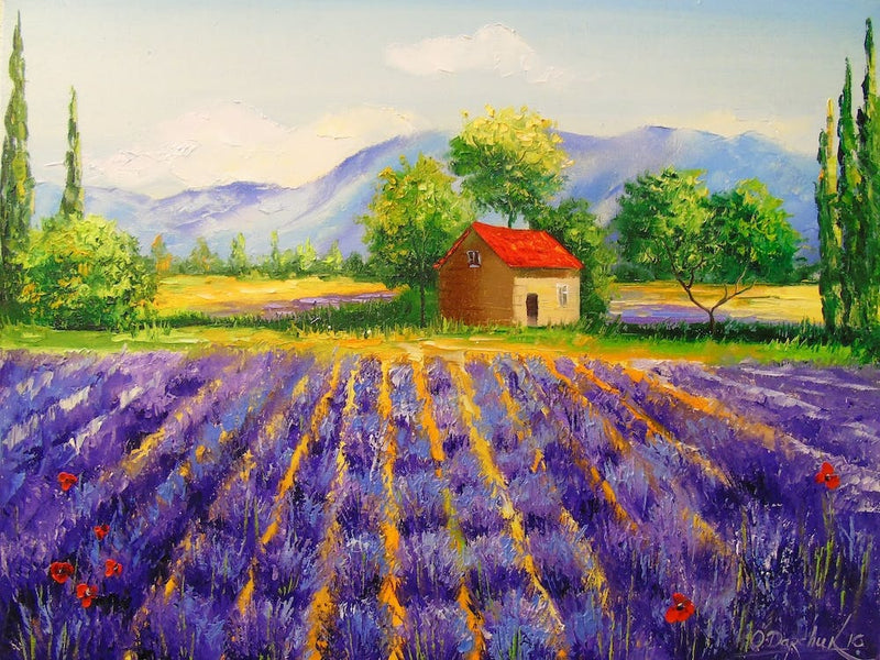 Lavender field in the mountains