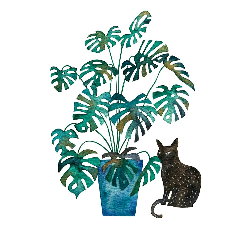 Black Cat and Monstera Houseplant