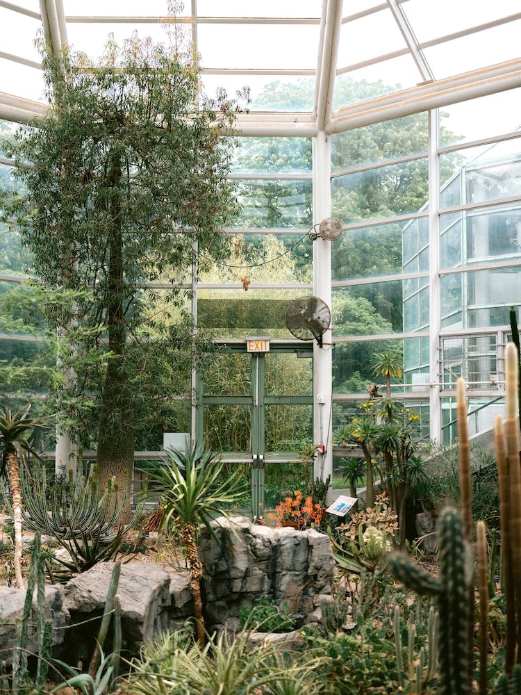 Brooklyn Botanical Garden