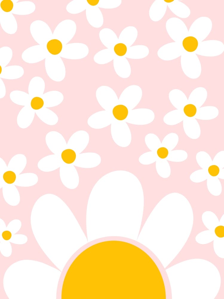 Daisy