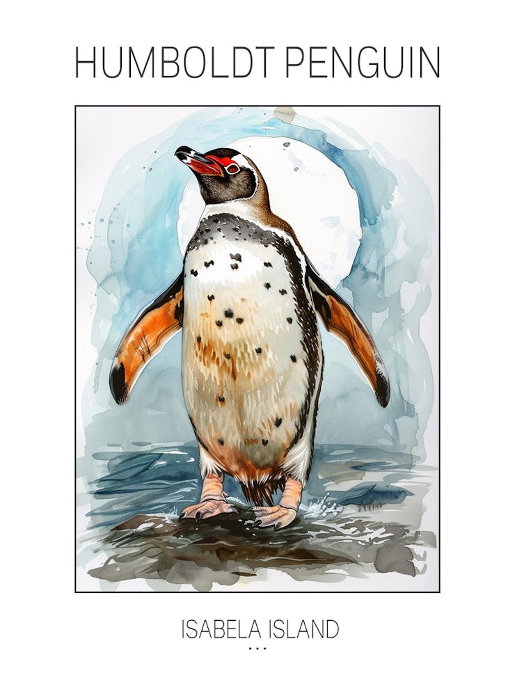 Humboldt Penguin Isabela Island Watercolour Painting 3 Poster