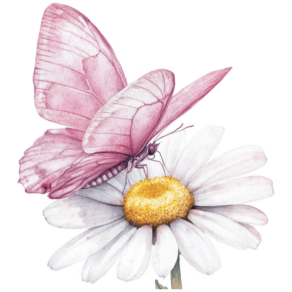 Daisy Flower 19