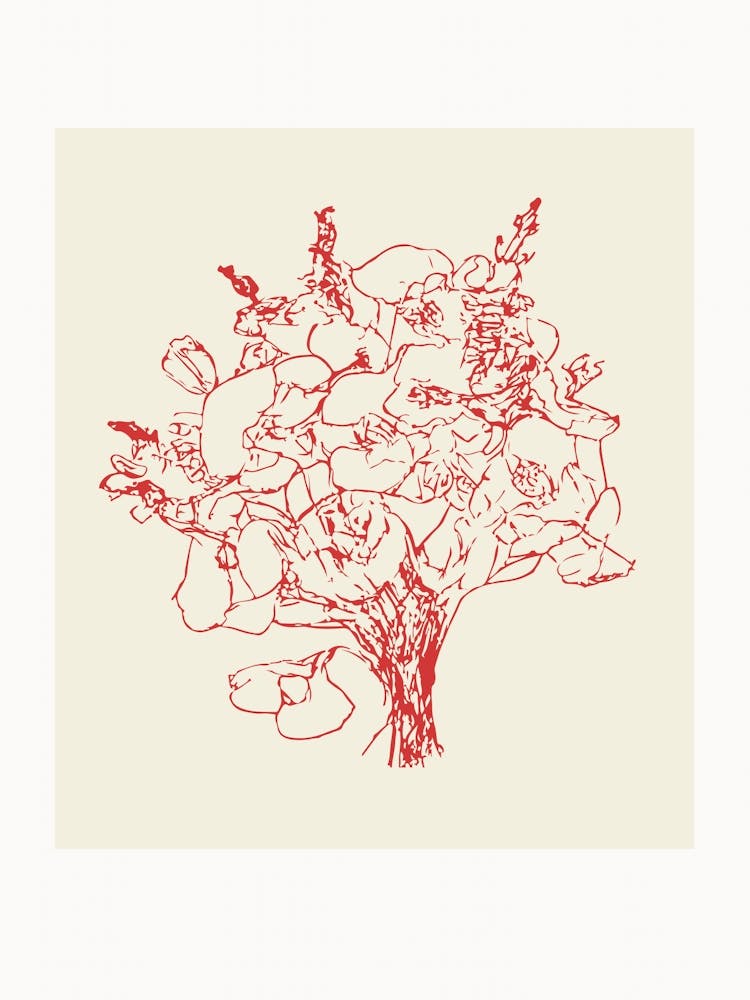 Botanica line no 24