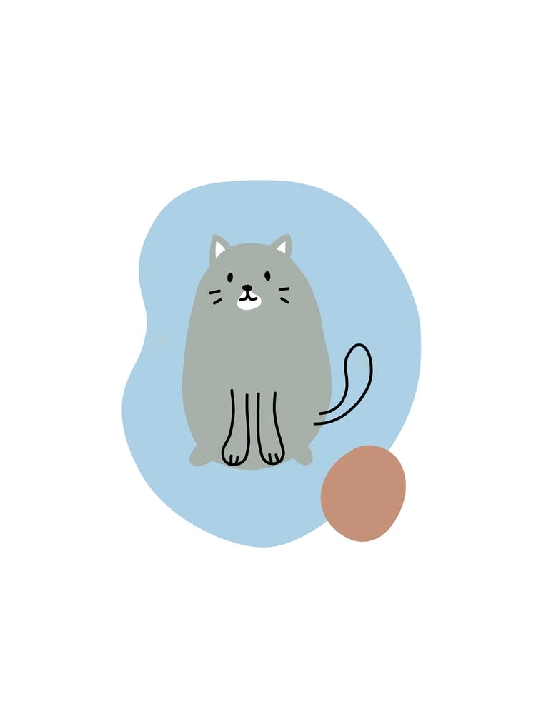Kitten
