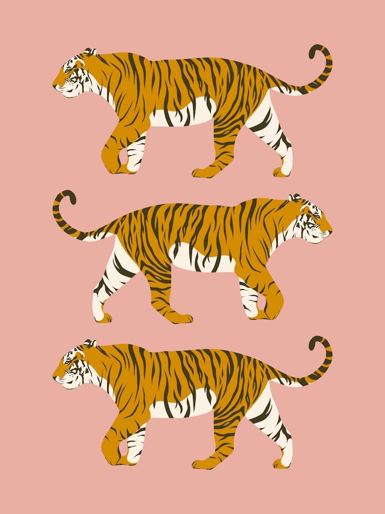 Walking Tiger Trio - Pink