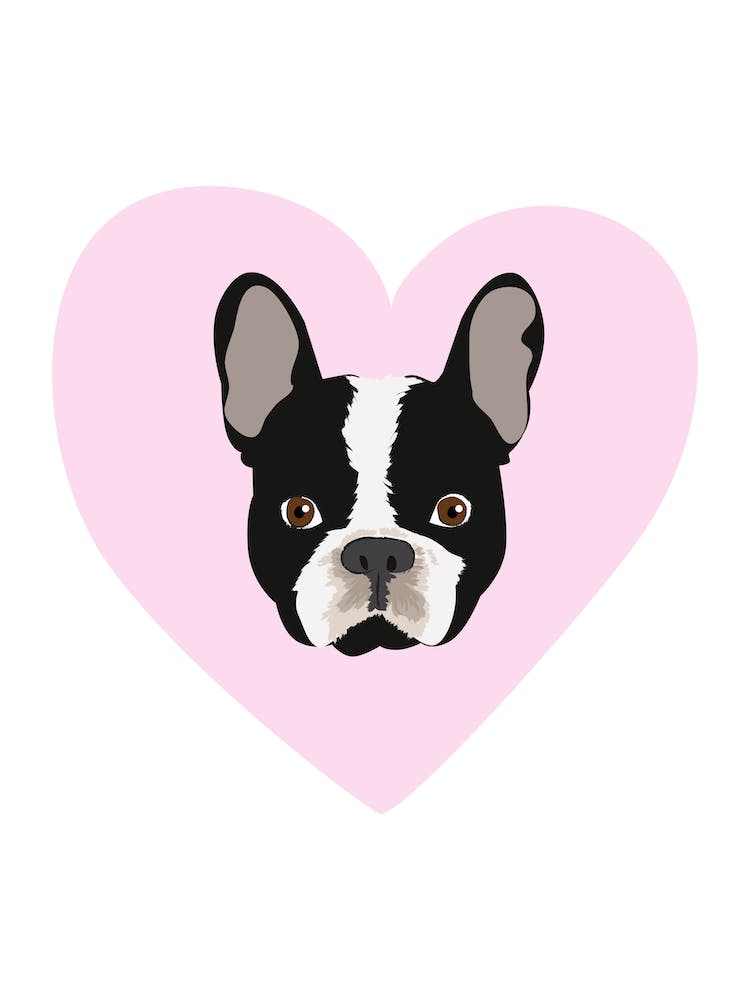 I Love Dogs