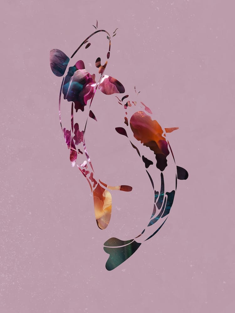 Koi Fish Pink
