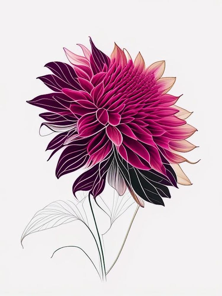 Dahlien Blumen Minimale Strichzeichnung 3