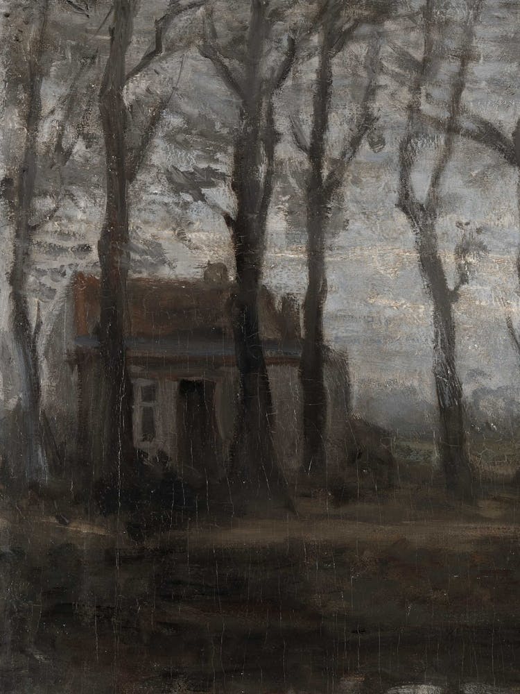 House In The Woods 1