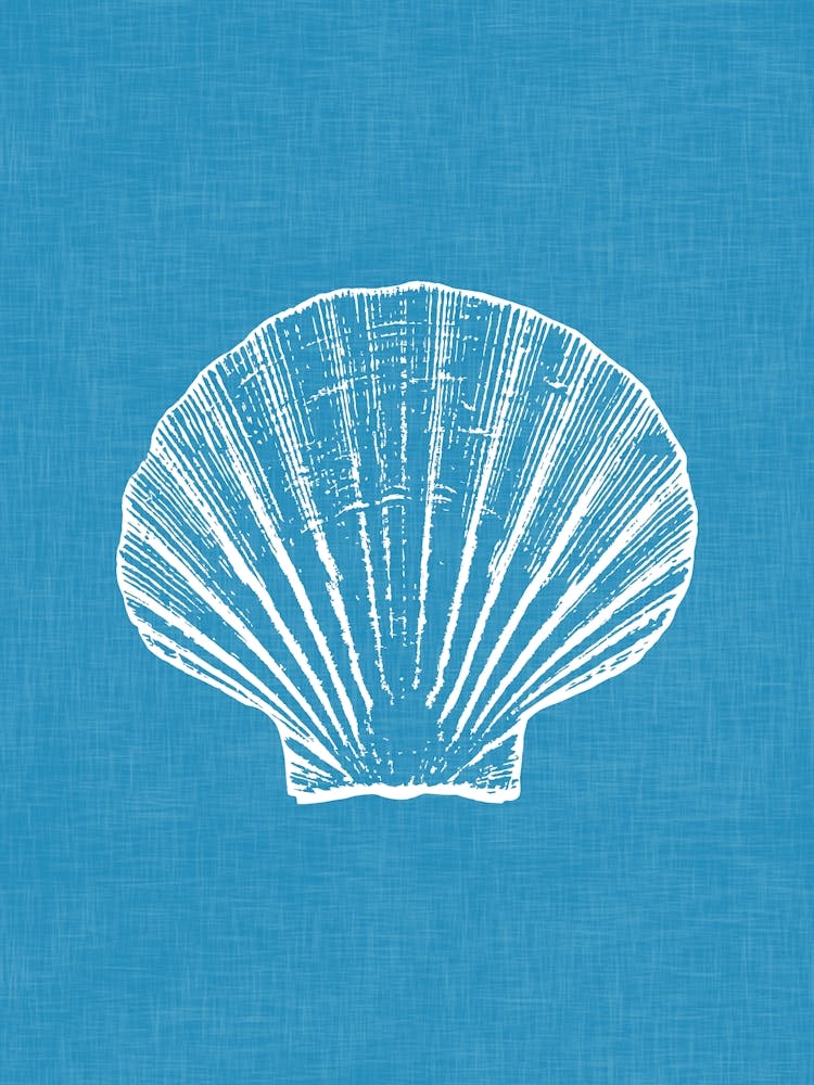 Vintage Sea Shell Silhouette In Ocean Blue