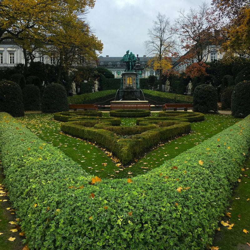 Park in Brussels, Belgium - Square