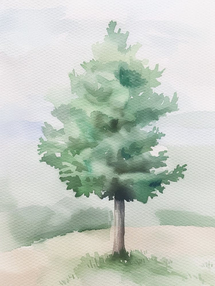 Juniper Tree Atmospheric Watercolour Painting 1