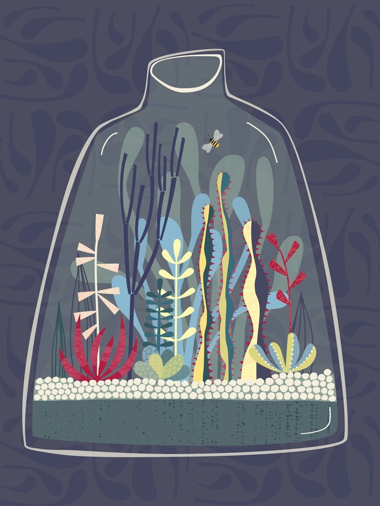 The Terrarium of Imaginary Plants