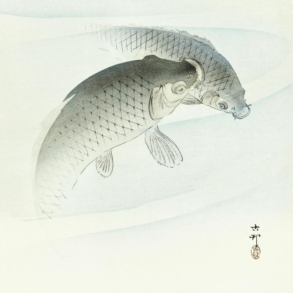 Two Carp Fish (1900 1910), Ohara Koson
