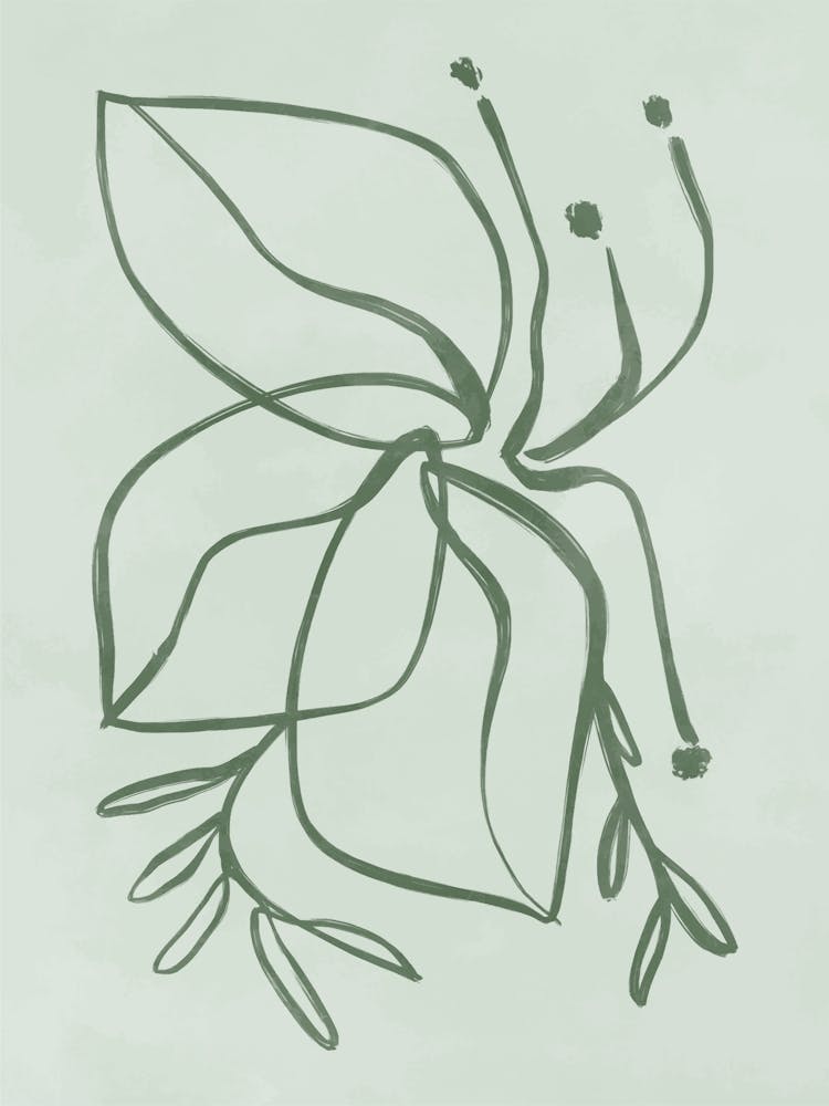 Lily Of The Valley