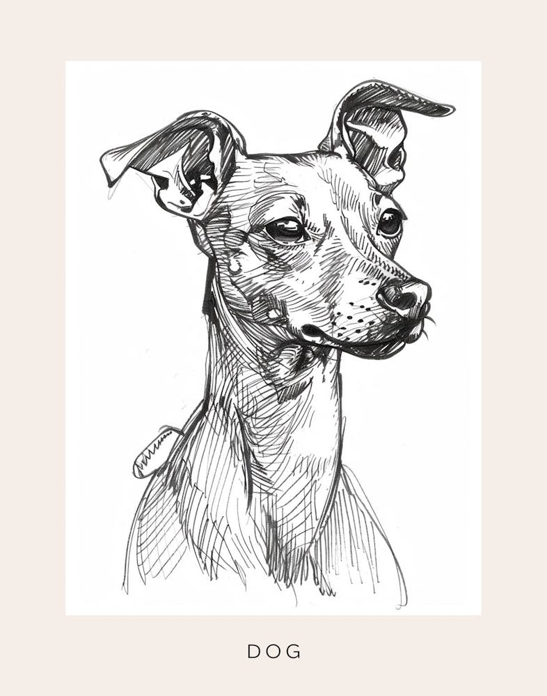 Short Haired Dog Black & White Line Art Poster