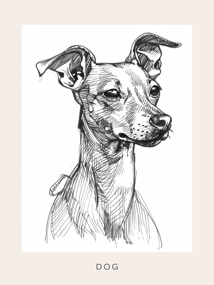 Short Haired Dog Black & White Line Art Poster
