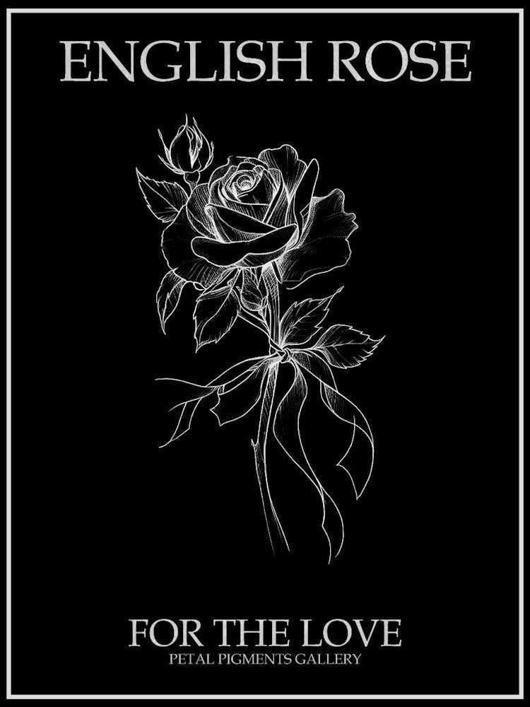 English Rose Black And White Line Drawing 23 Poster Inverted