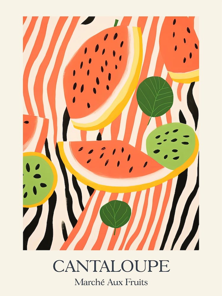 Marche Aux Fruits Cantaloupe Fruit Summer Illustration 3