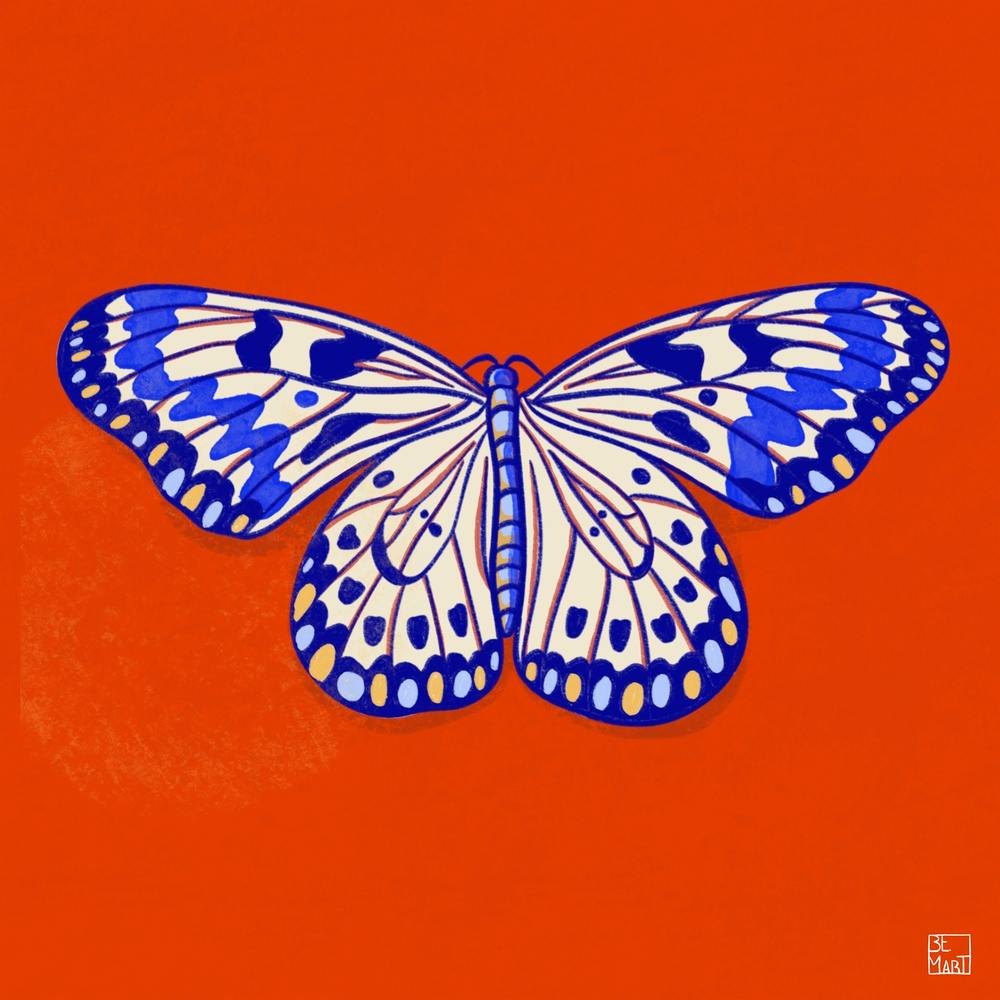 Butterfly On Red Background Square