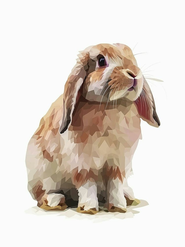Holland Lop  Rabbit Kids Illustration 3