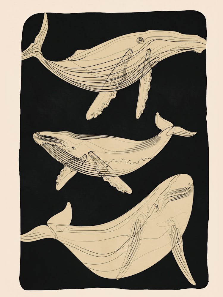Modern Minimalist Abstract Whales 2