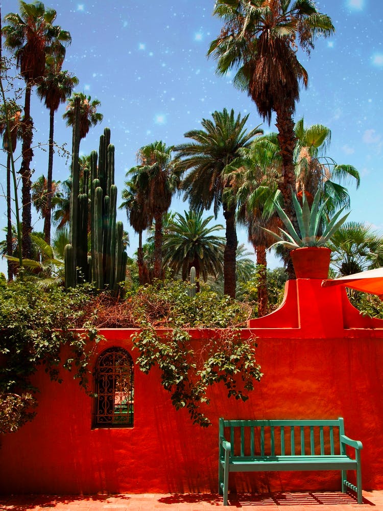 Mystic Palms