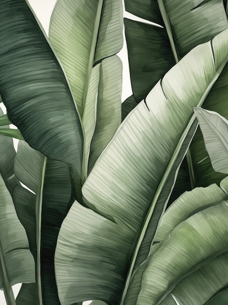 Rainforest Leaves