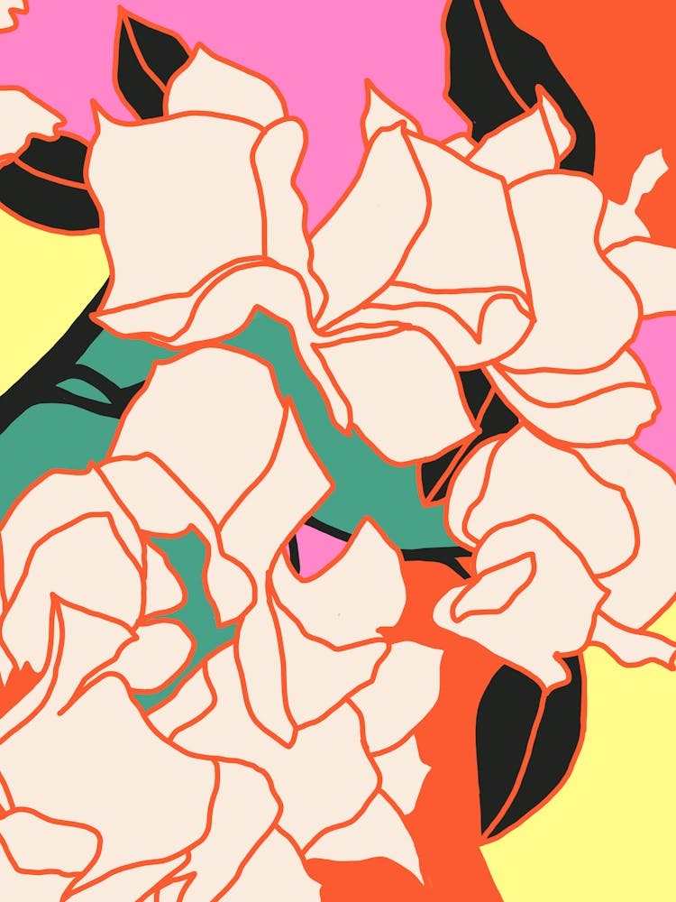 Pink Bougainvillea Essence